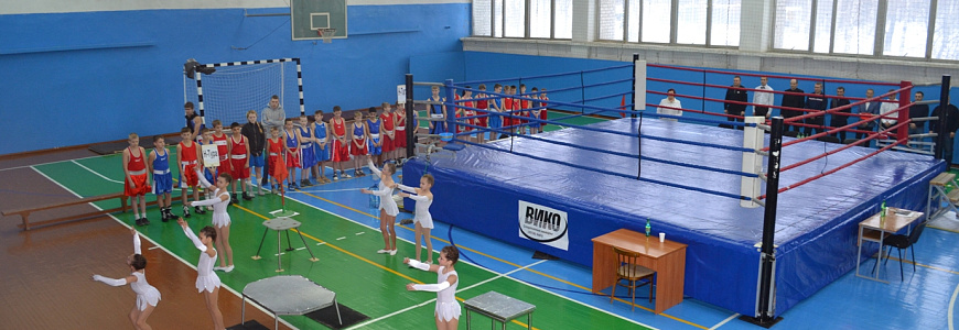 Турнир по боксу